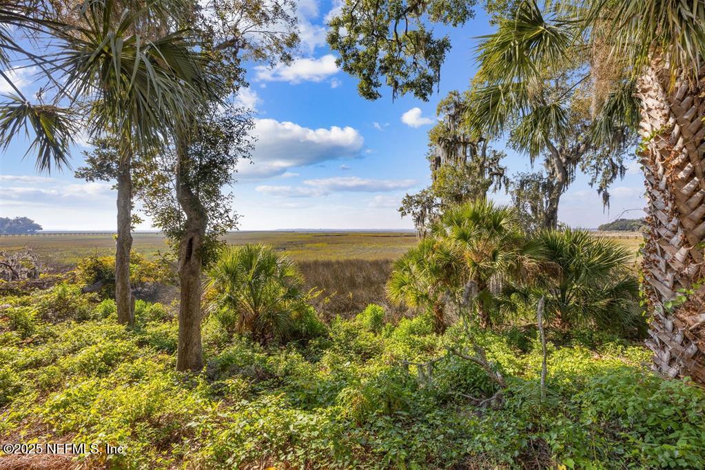 95178 SPRING TIDE Lane
