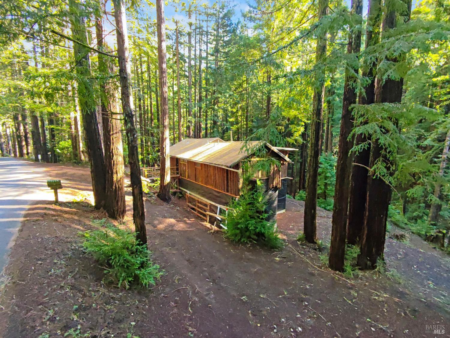 16125 Bittner Road