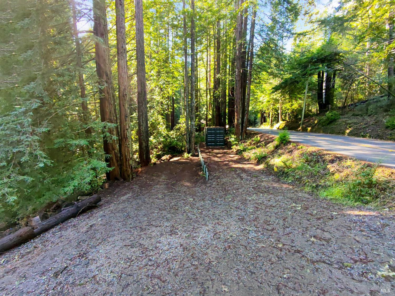 16125 Bittner Road