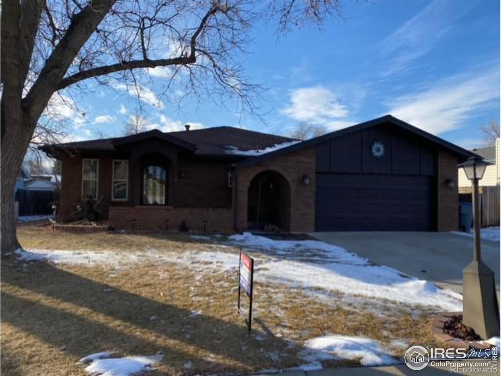 Modern Collective Real Estate Longmont Real Estate Agents