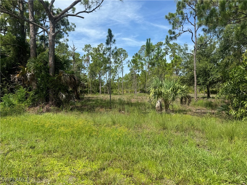 27169 Cordova DR