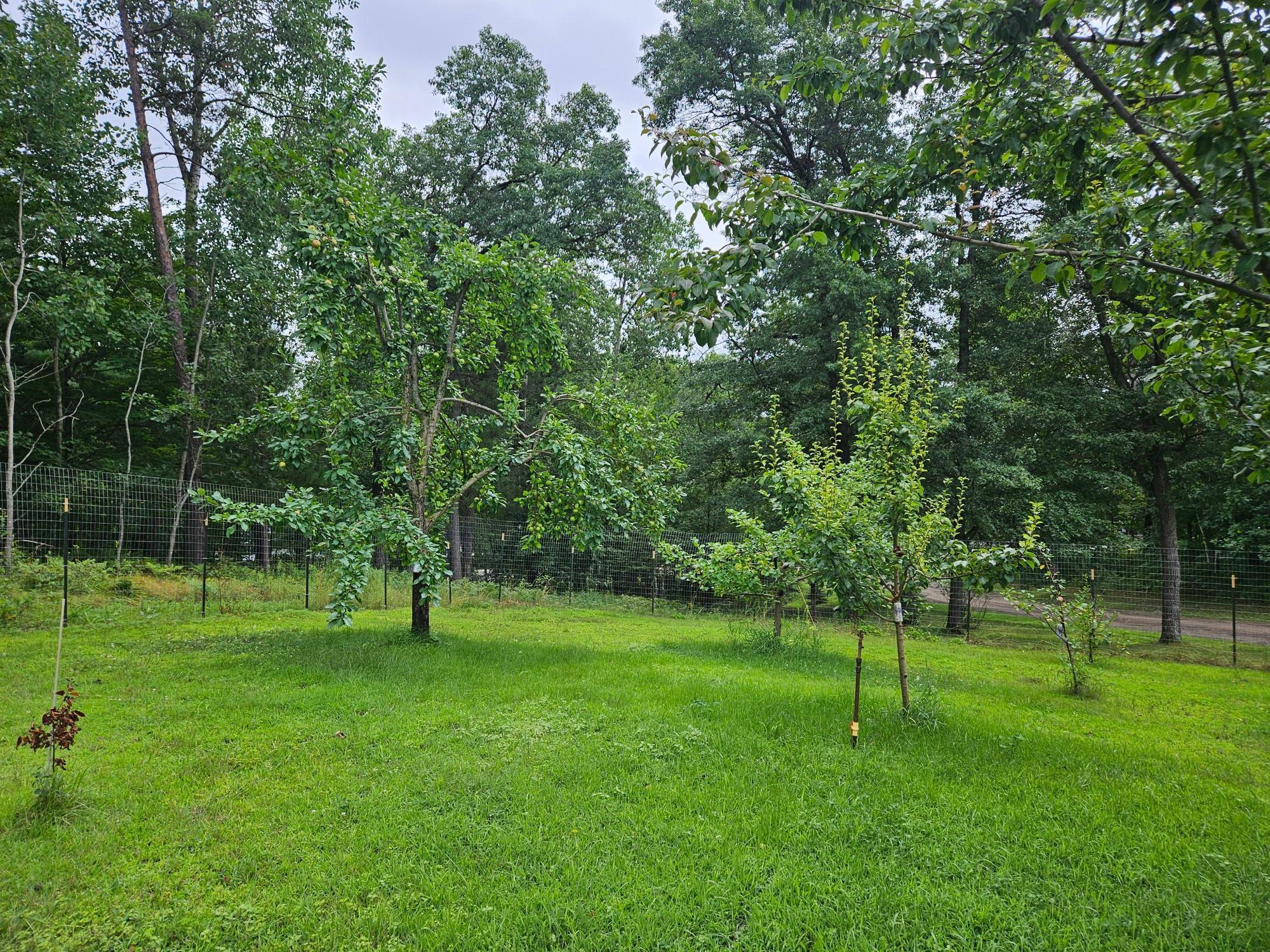 13038 Executive Acres Road