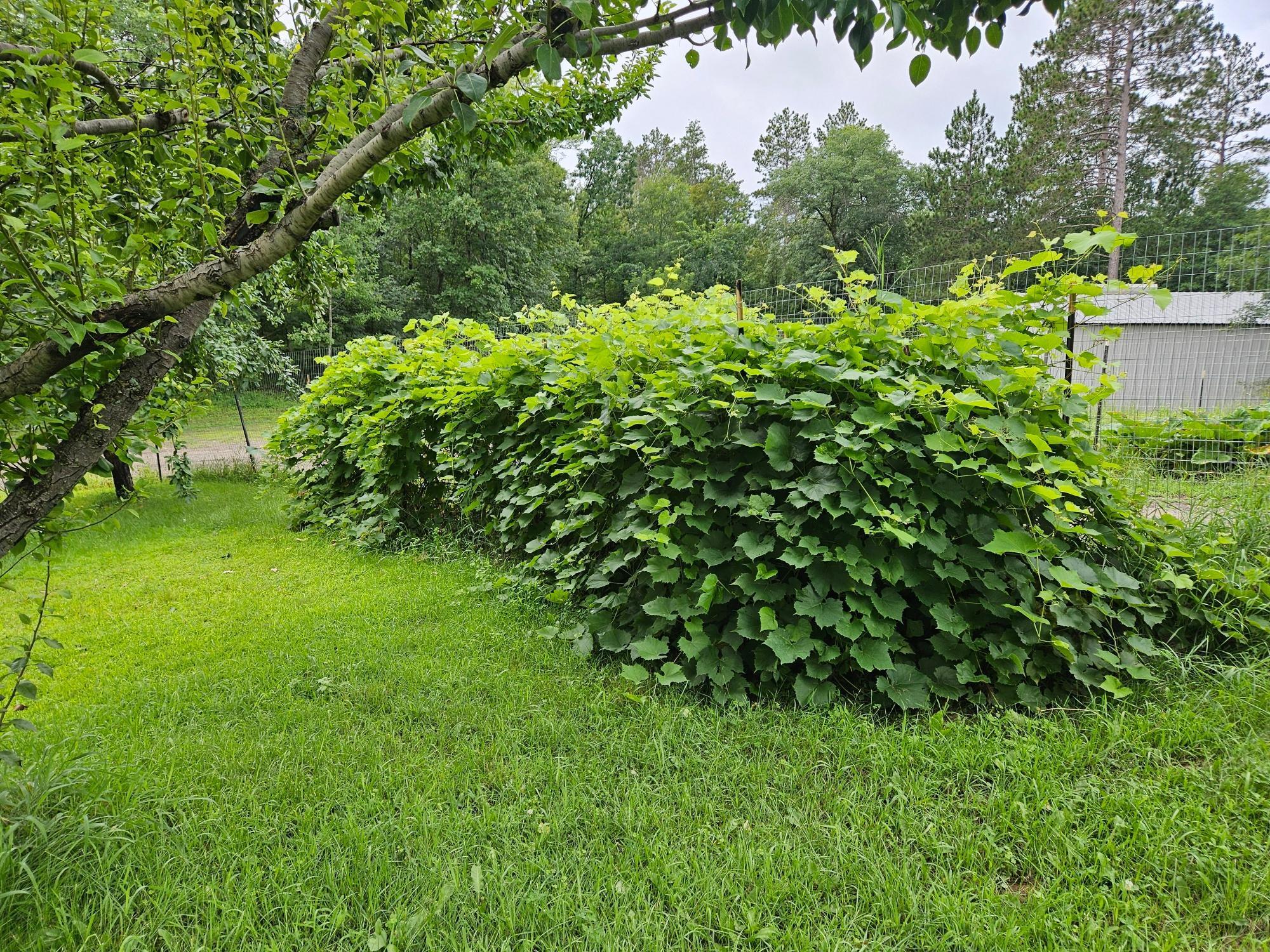 13038 Executive Acres Road