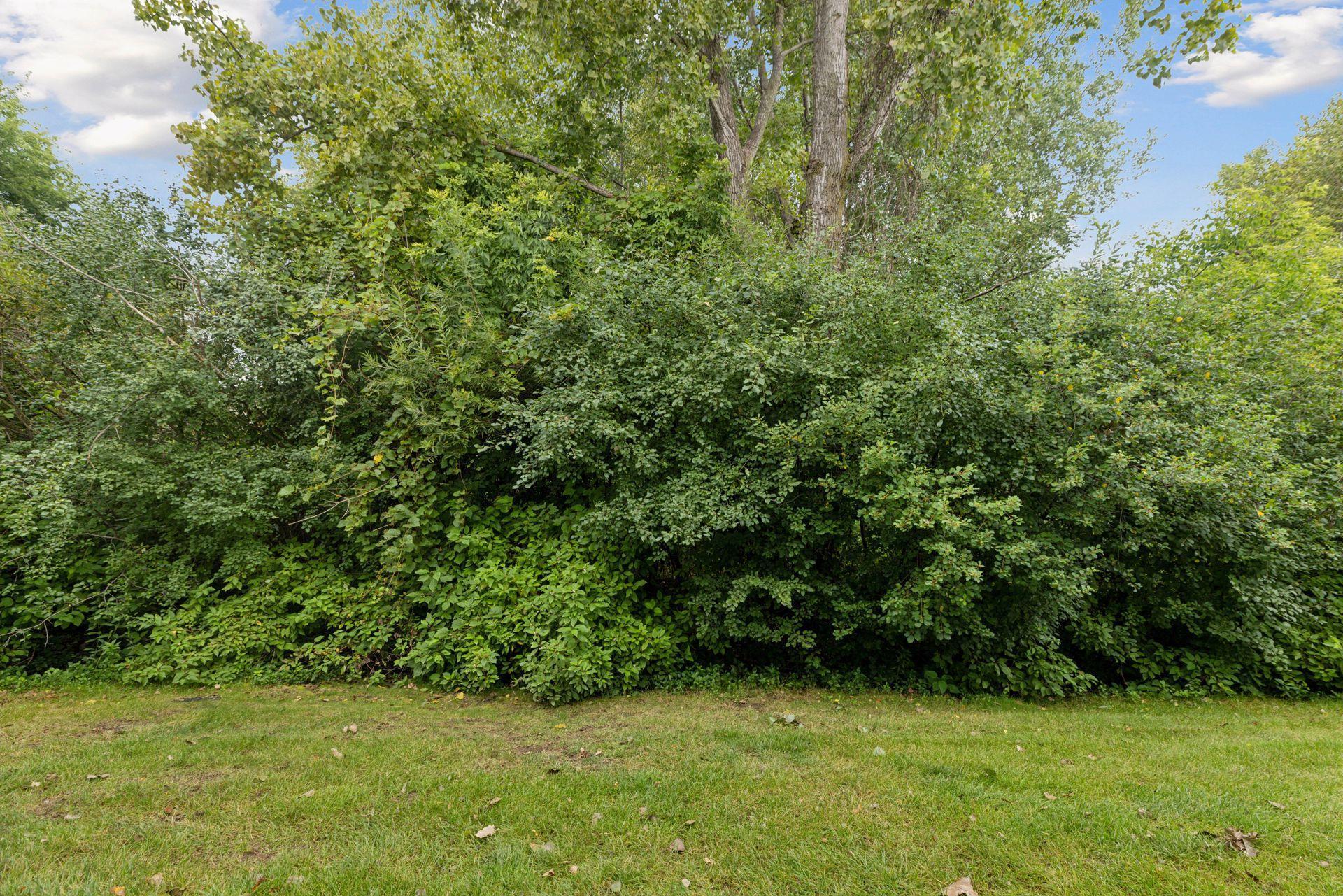 7990 Forest Boulevard Unit: F