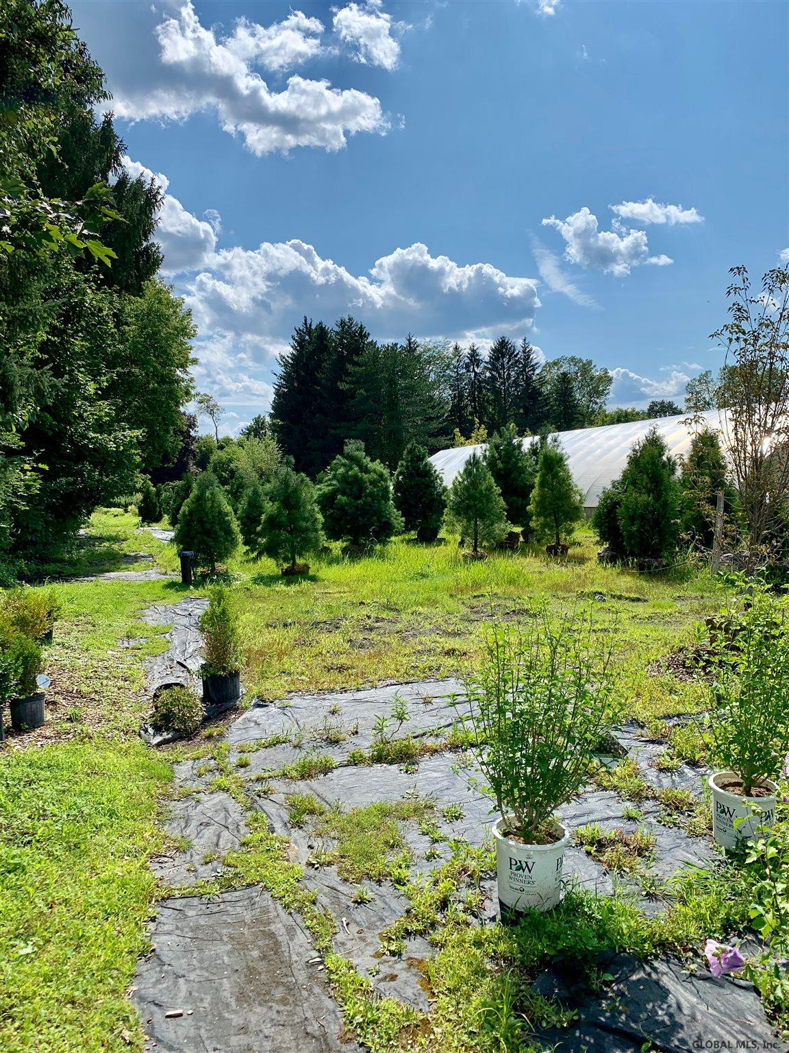 361 RIDGE Road