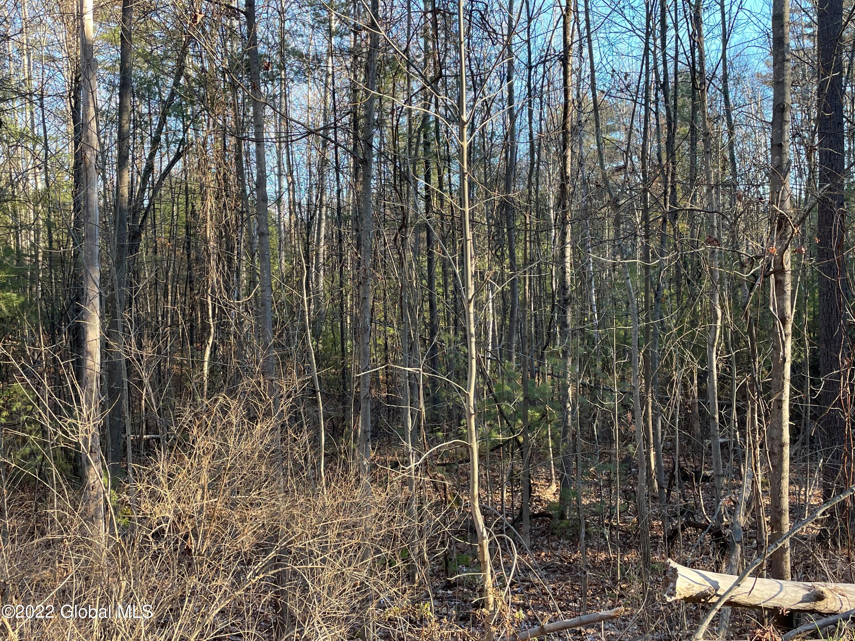 110 Middle Road, Lot 2