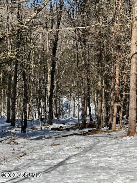 85 Edgecomb Pond Road