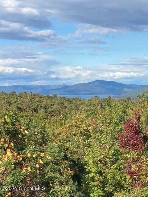 441 Lockhart Mountain Rd, 59