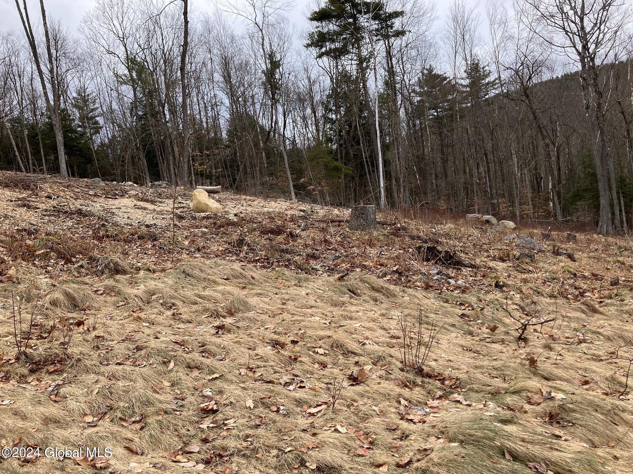 74 Watershed Drive