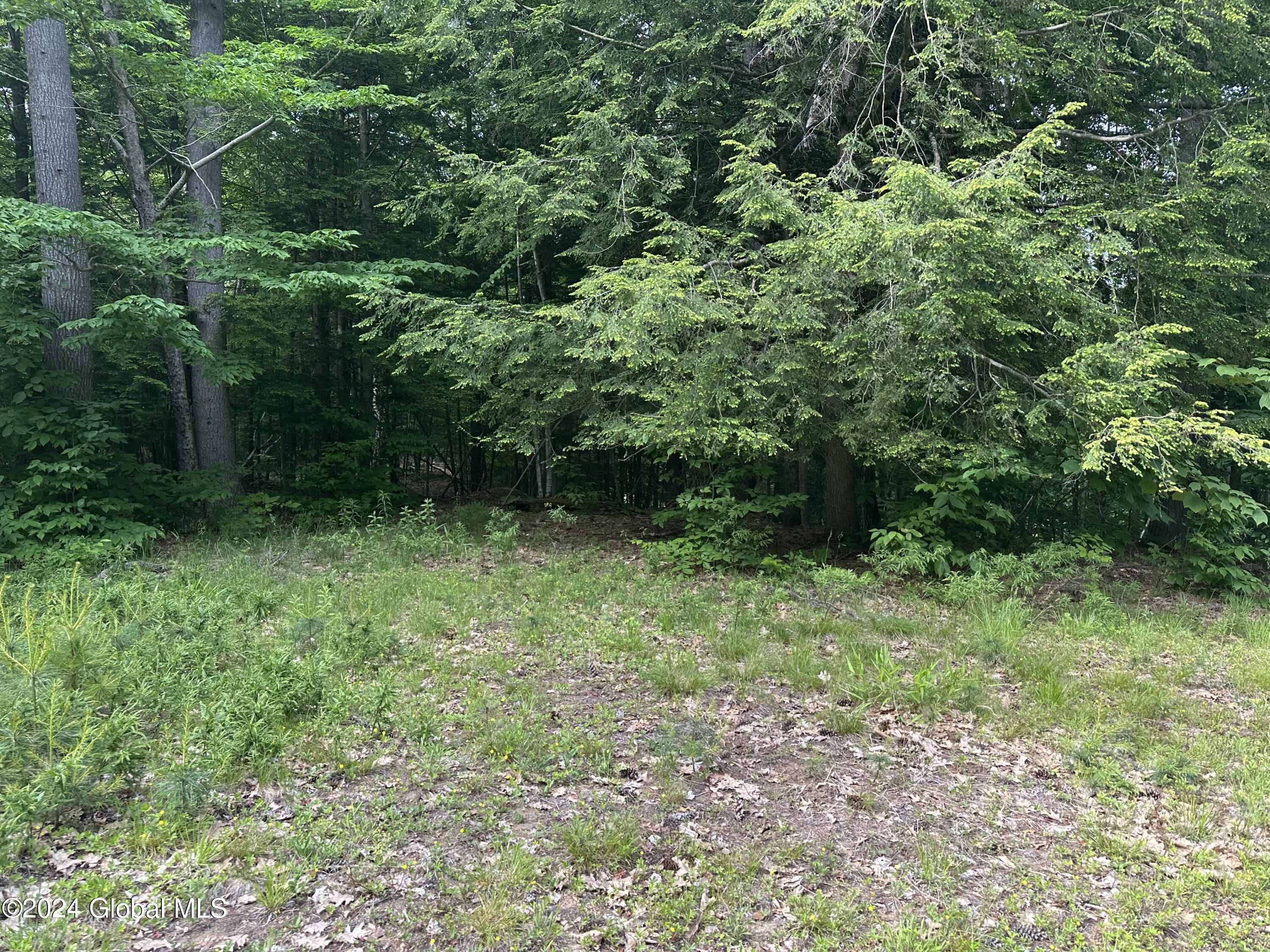 49 watershed dr