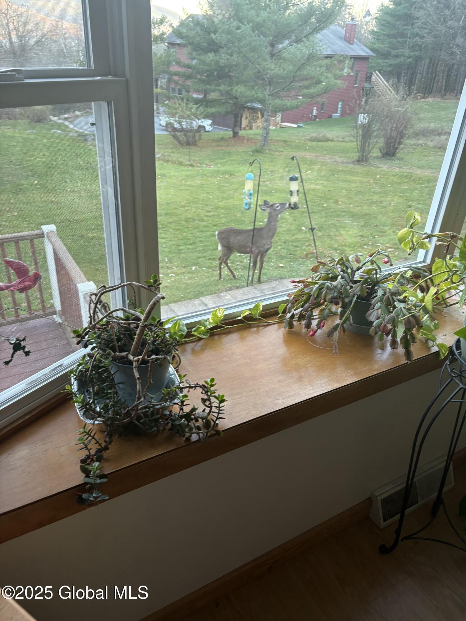 10 Bluebird Lane