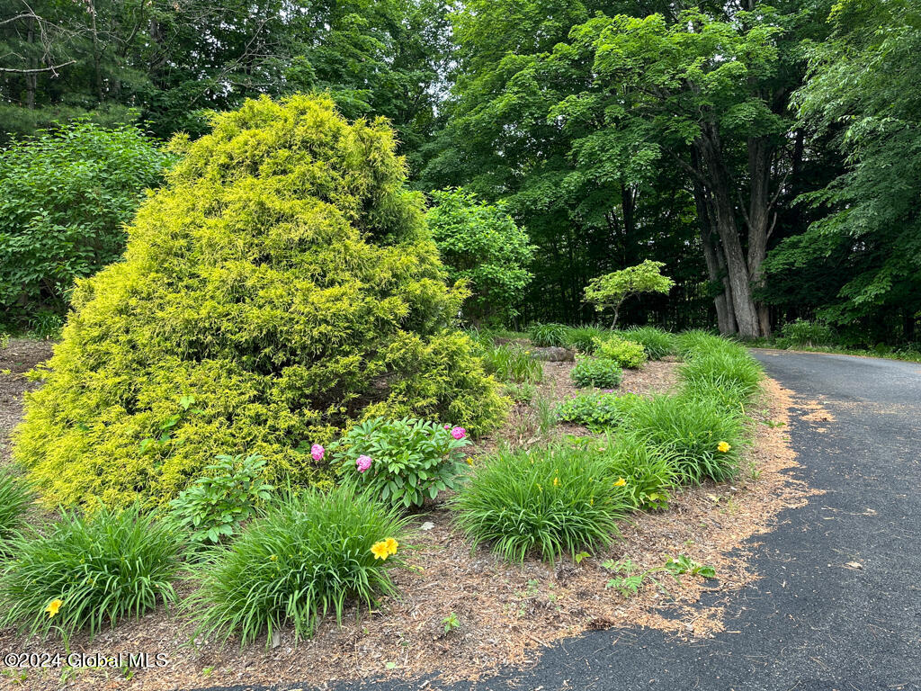 10 Bluebird Lane