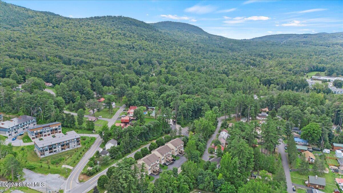3884 State Route 9L, Unit 1
