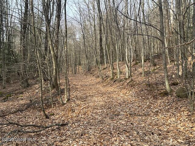 L38.3 Valley Woods Road