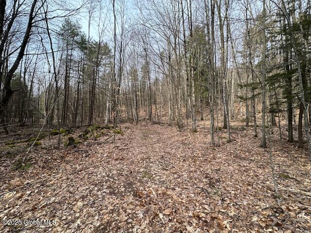 L38.3 Valley Woods Road