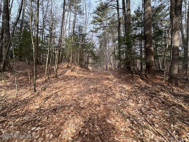 L38.3 Valley Woods Road