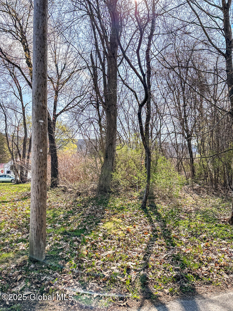 311 Cleverdale Road