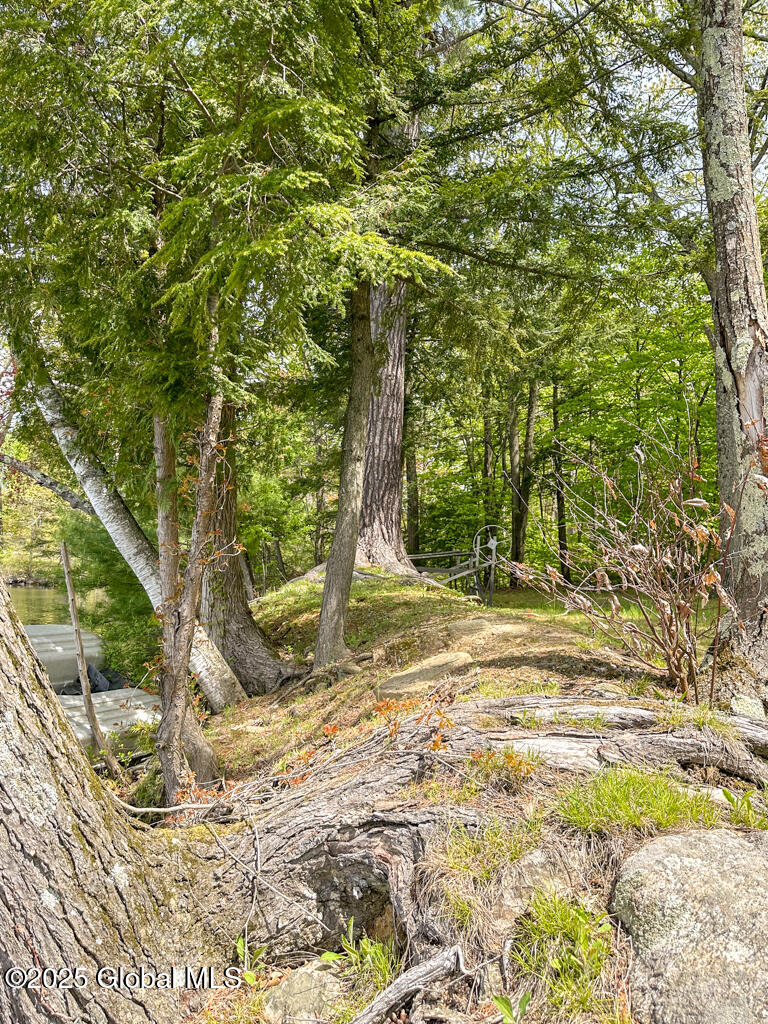 233 Cleverdale Road