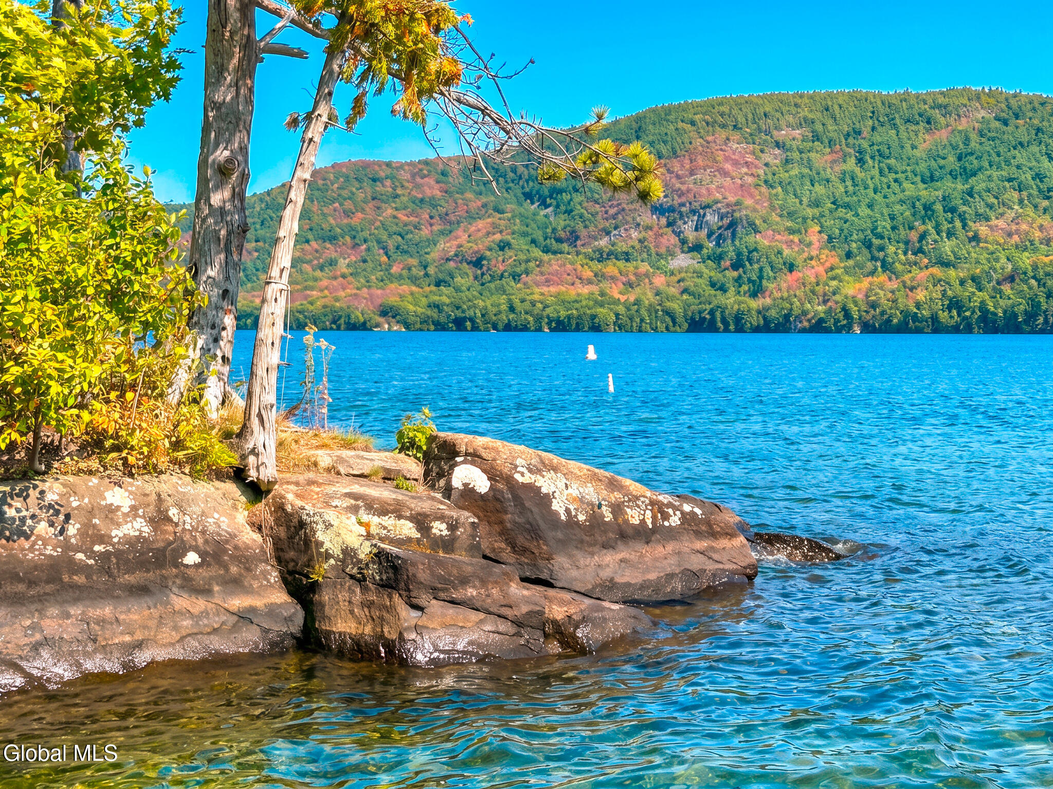 7938 Lakeshore Drive