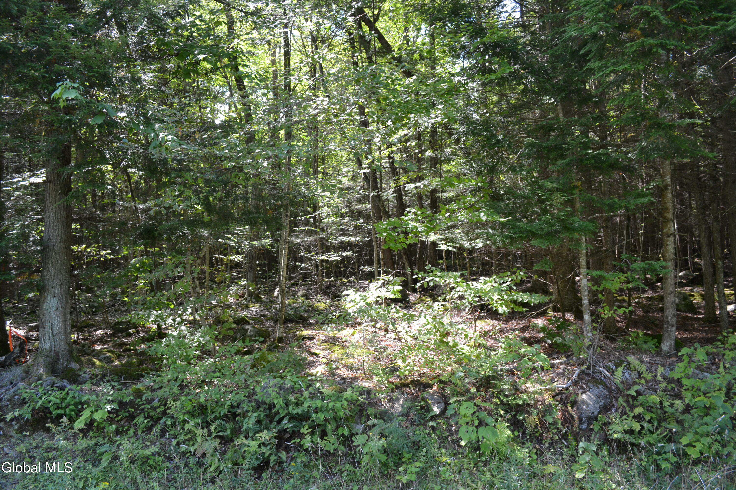 9 Diamond RIdge Road