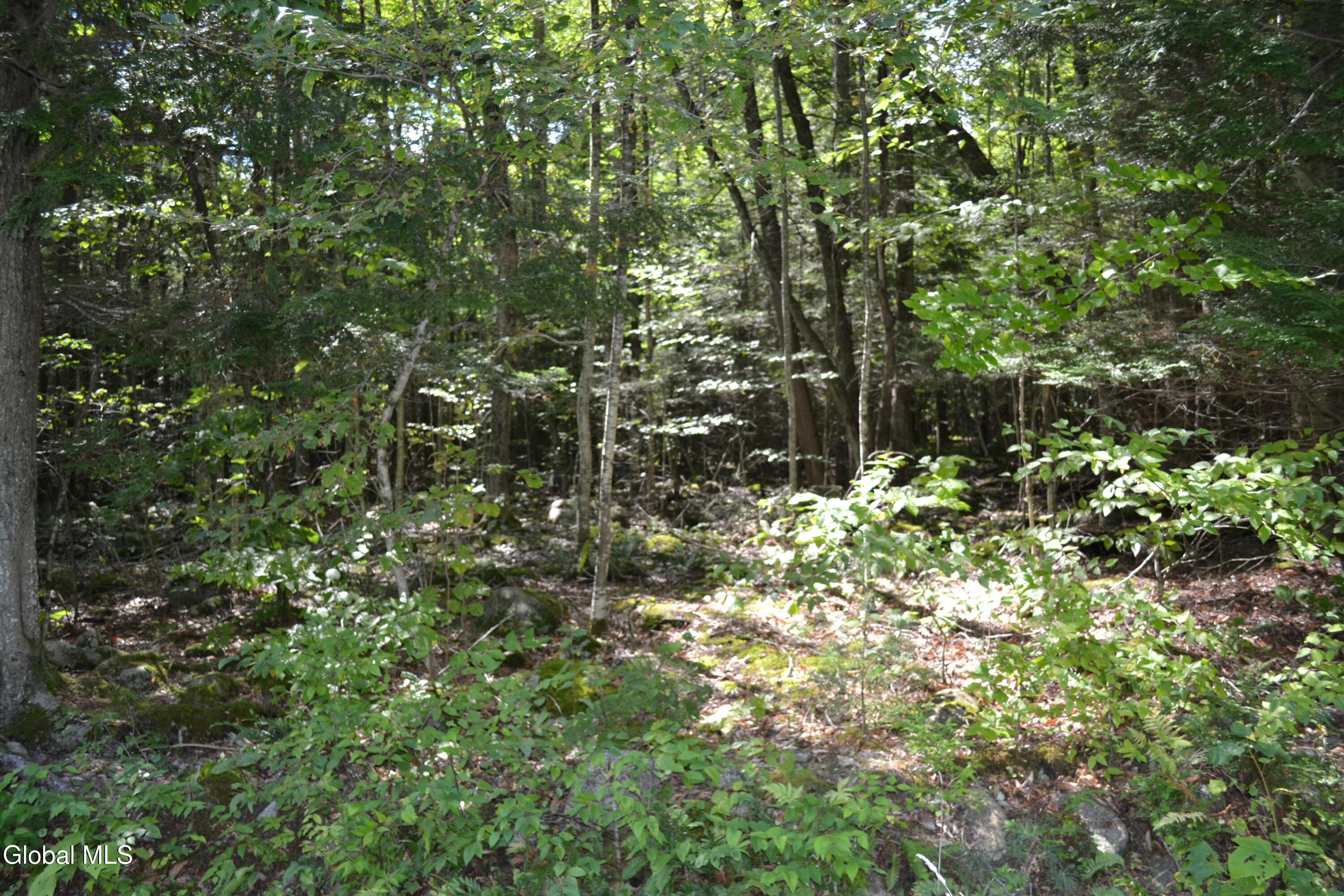 9 Diamond RIdge Road