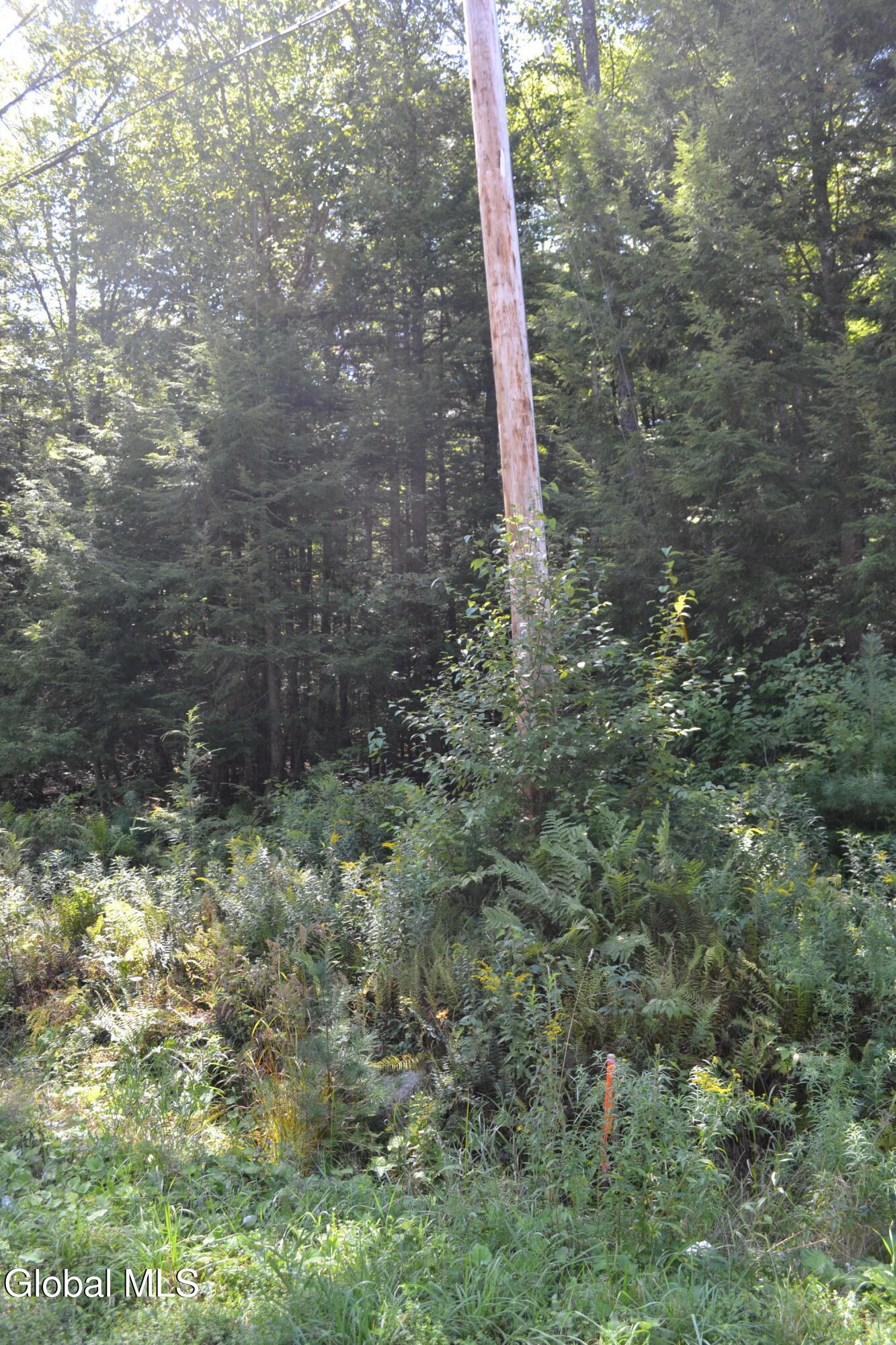 9 Diamond RIdge Road