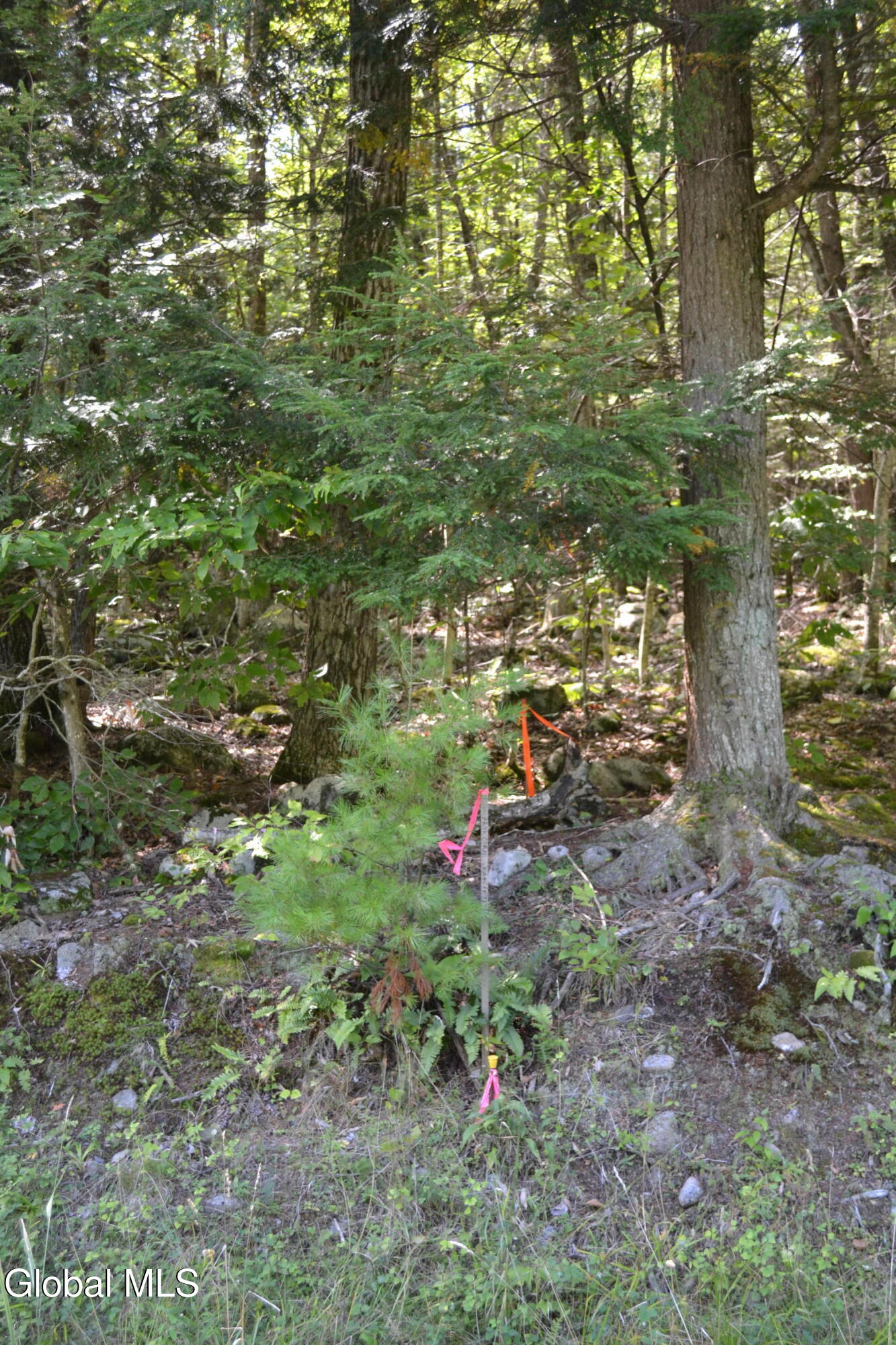 9 Diamond RIdge Road