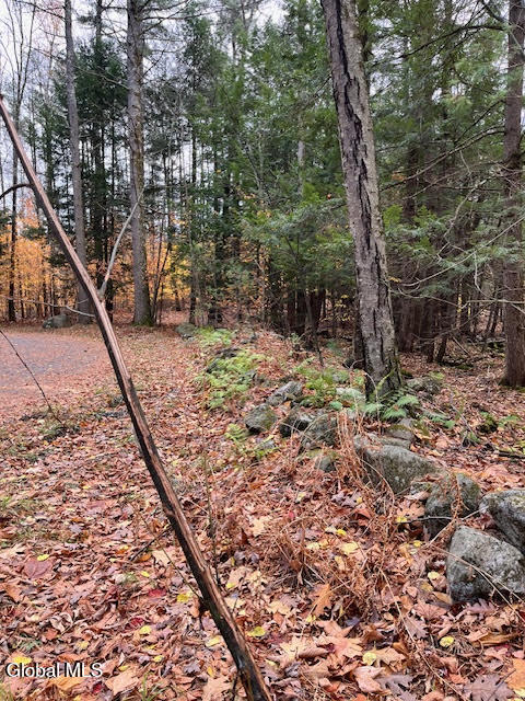54 Woods Hollow Drive