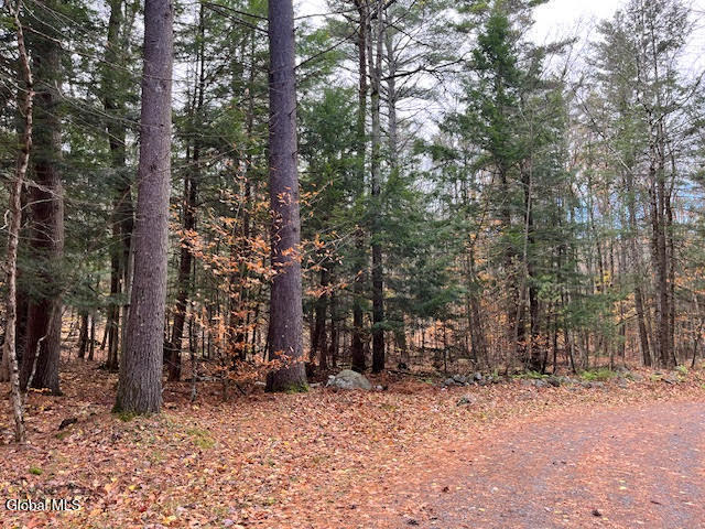 54 Woods Hollow Drive