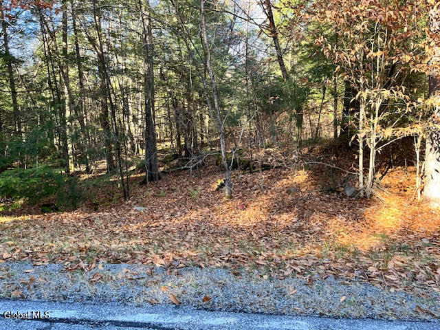 L5.322 South Trout Lake Road