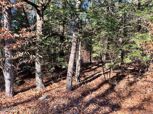 L5.322 South Trout Lake Road