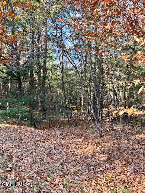 L5.322 South Trout Lake Road