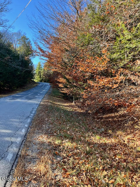 L5.322 South Trout Lake Road