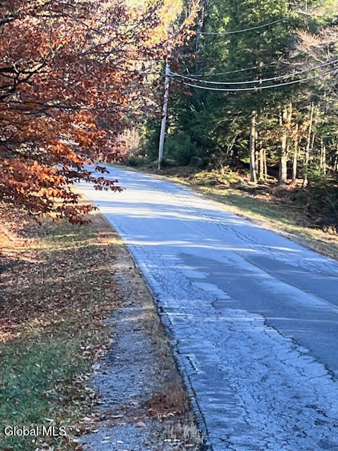 L5.322 South Trout Lake Road