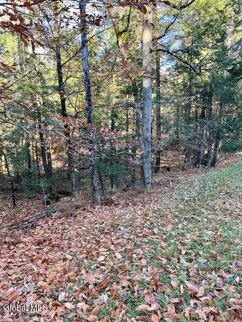 L5.322 South Trout Lake Road