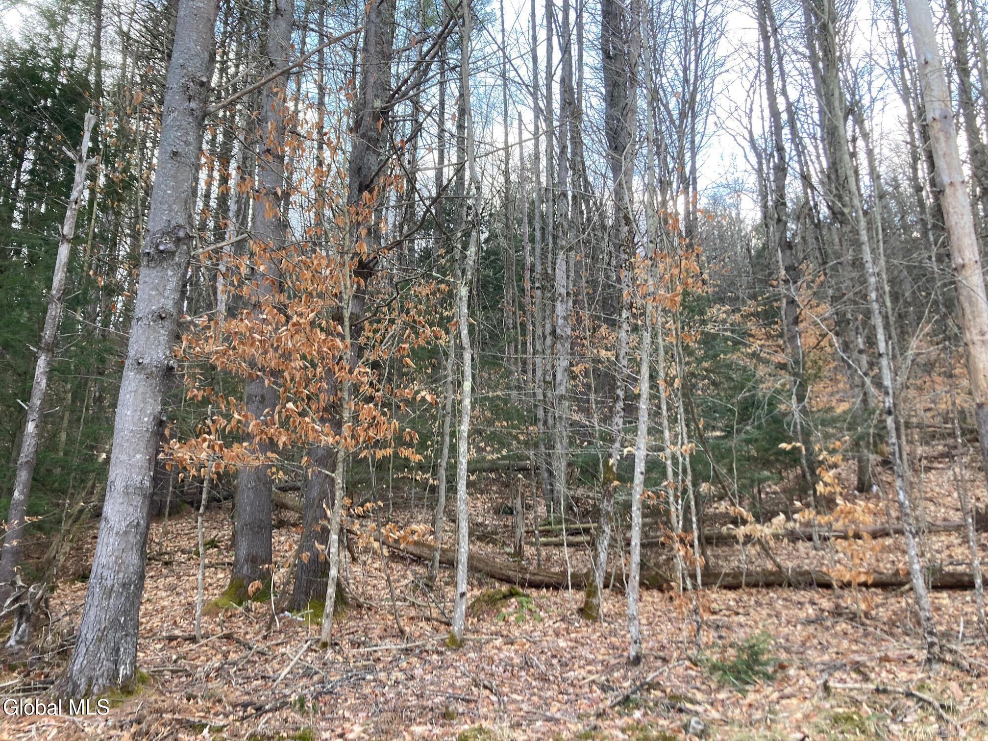 652 New Vermont Road