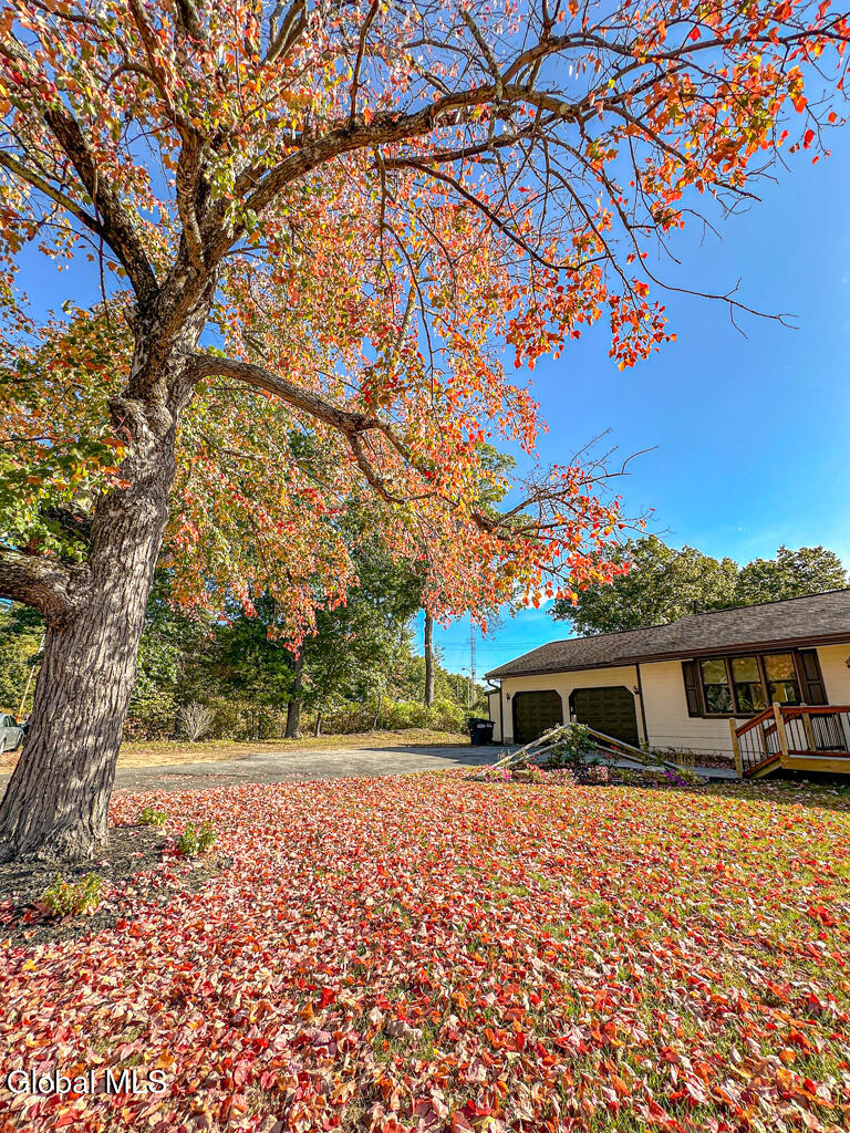 3 Fox Farm Road