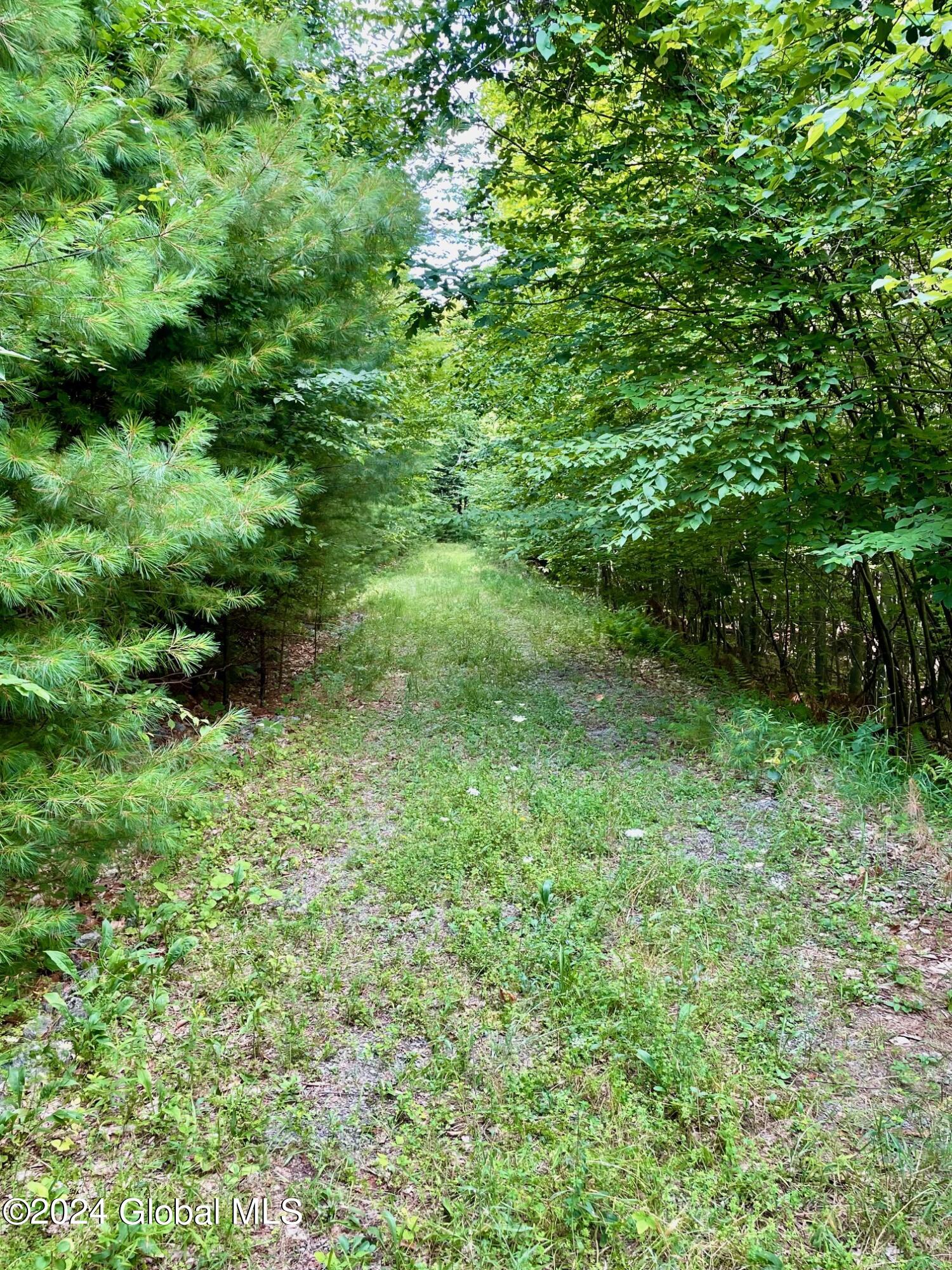 8 Lake Ridge Road
