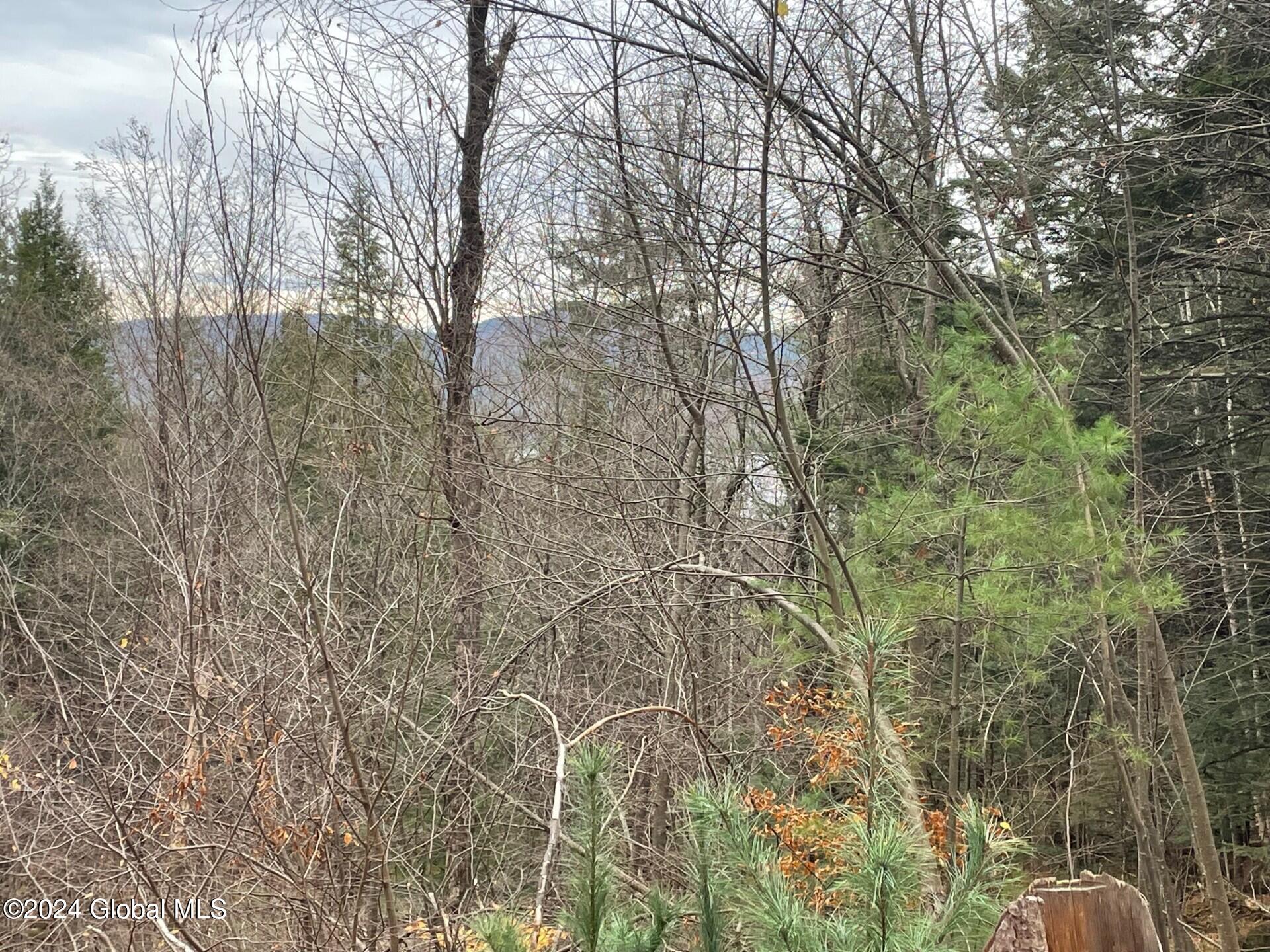 8 Lake Ridge Road