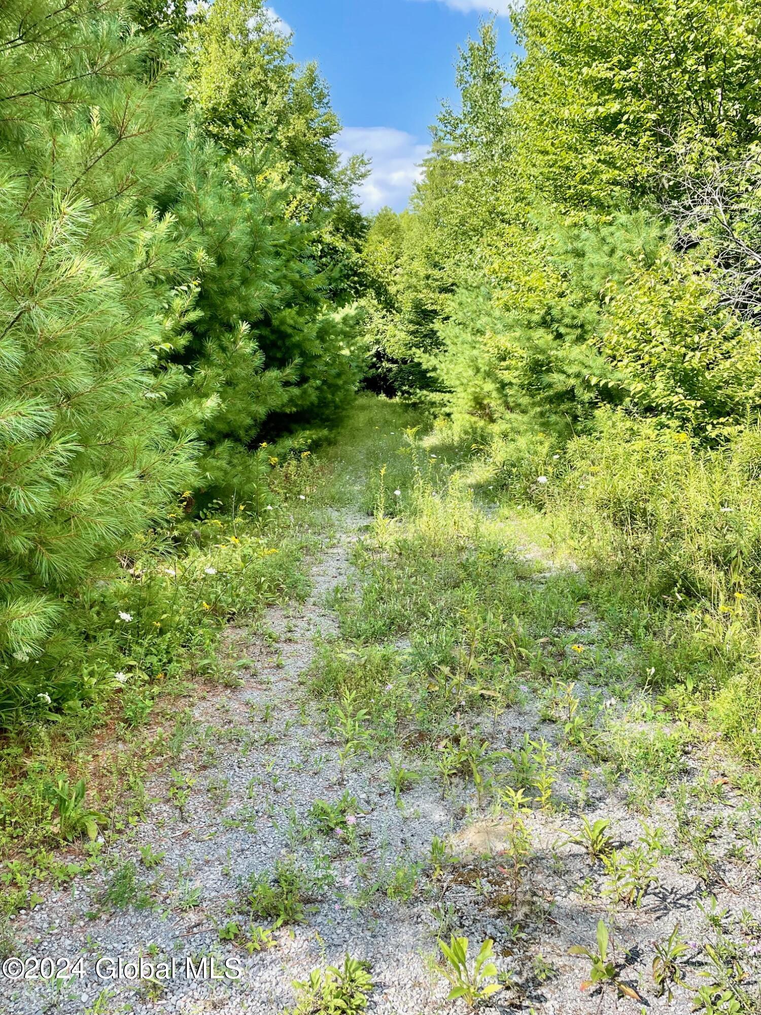 8 Lake Ridge Road