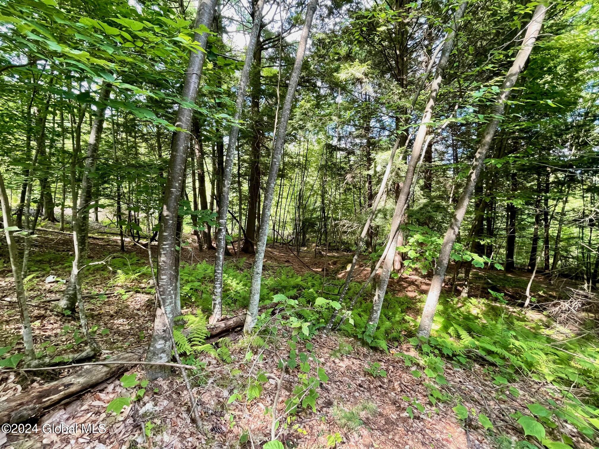 8 Lake Ridge Road