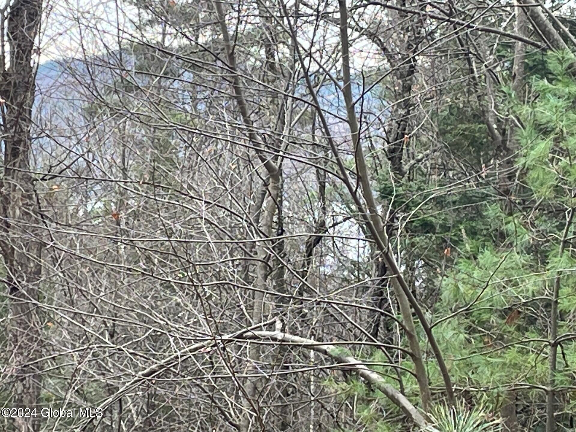 8 Lake Ridge Road