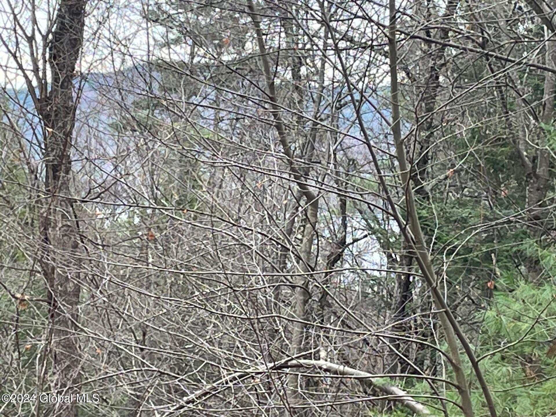 8 Lake Ridge Road