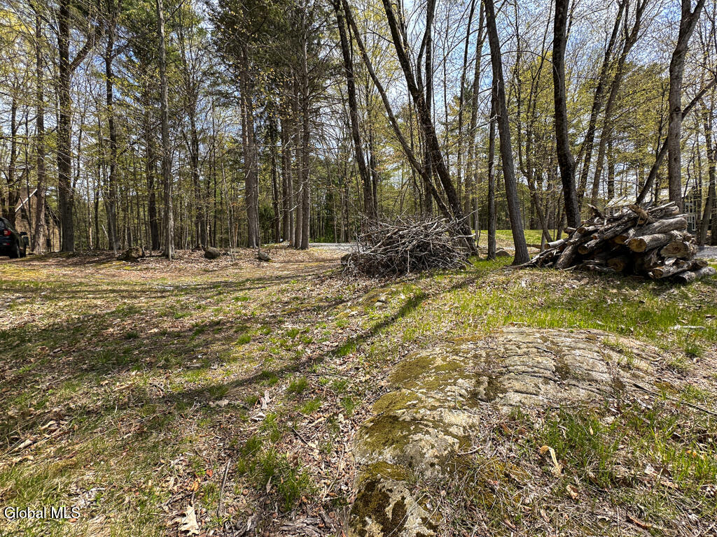 1777 Pilot Knob Road