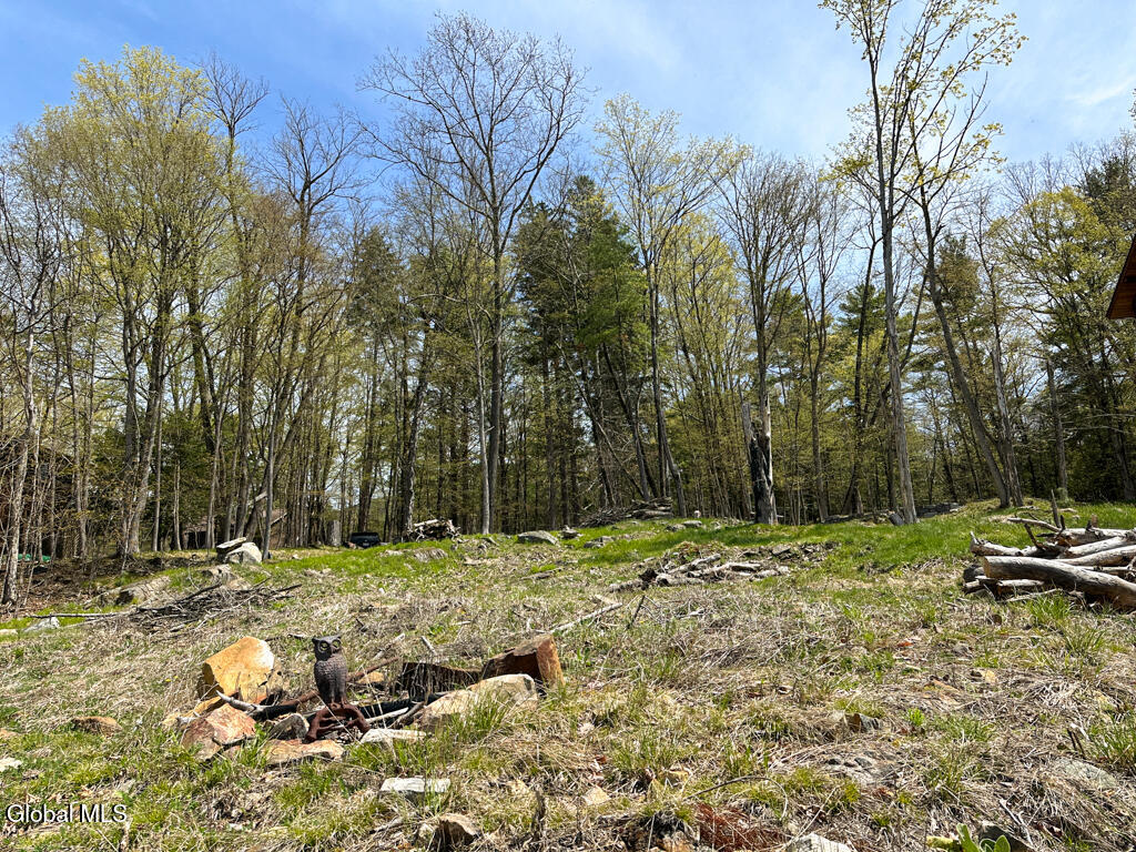 1777 Pilot Knob Road