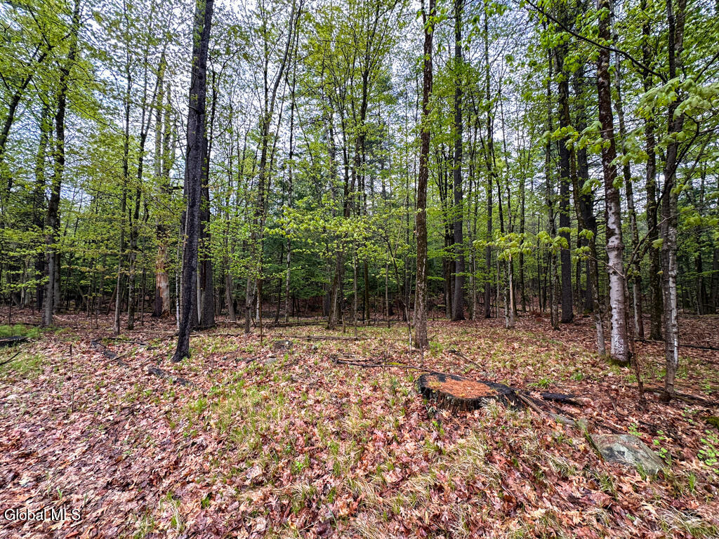 L59 Pilot Knob Road