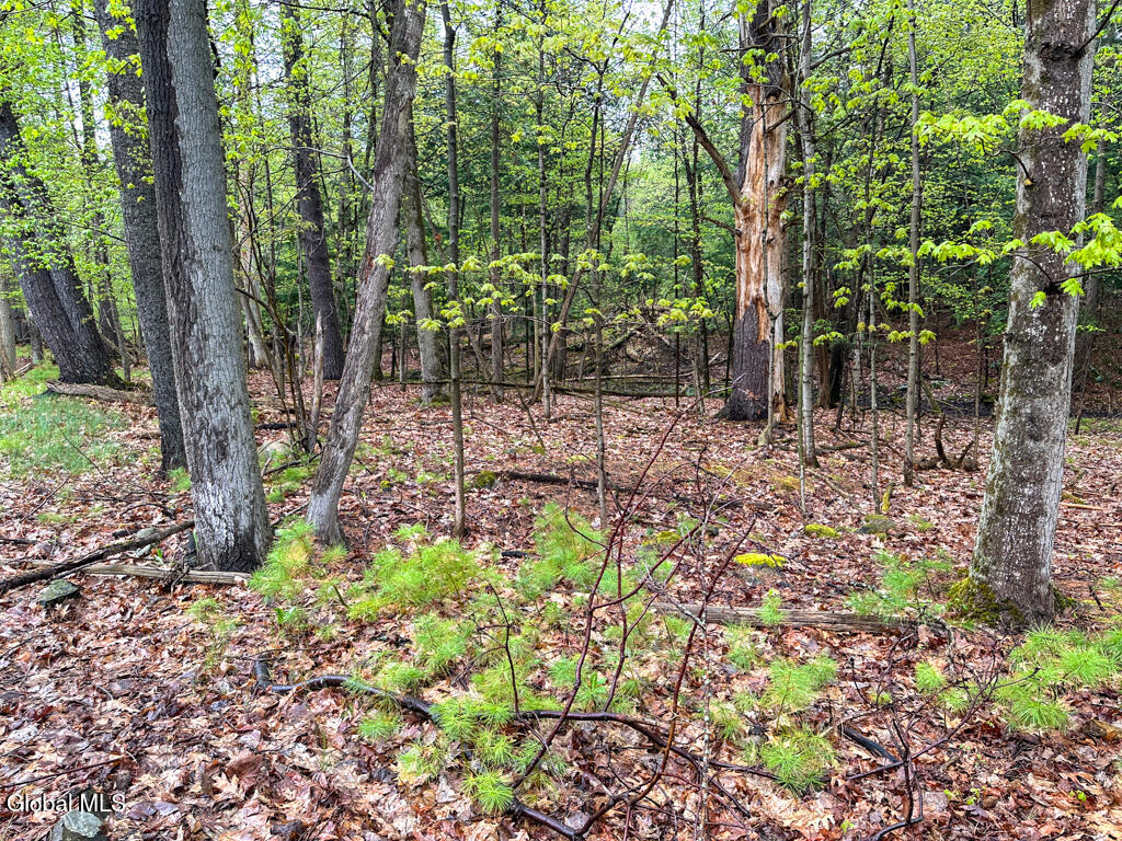 L59 Pilot Knob Road