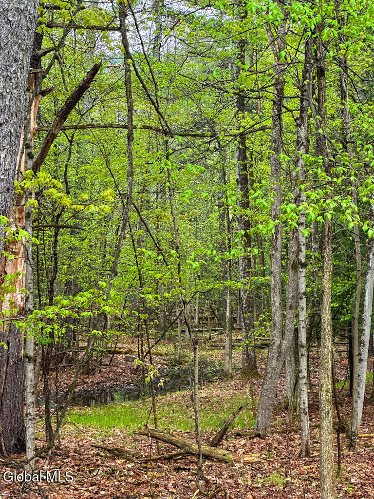 L59 Pilot Knob Road