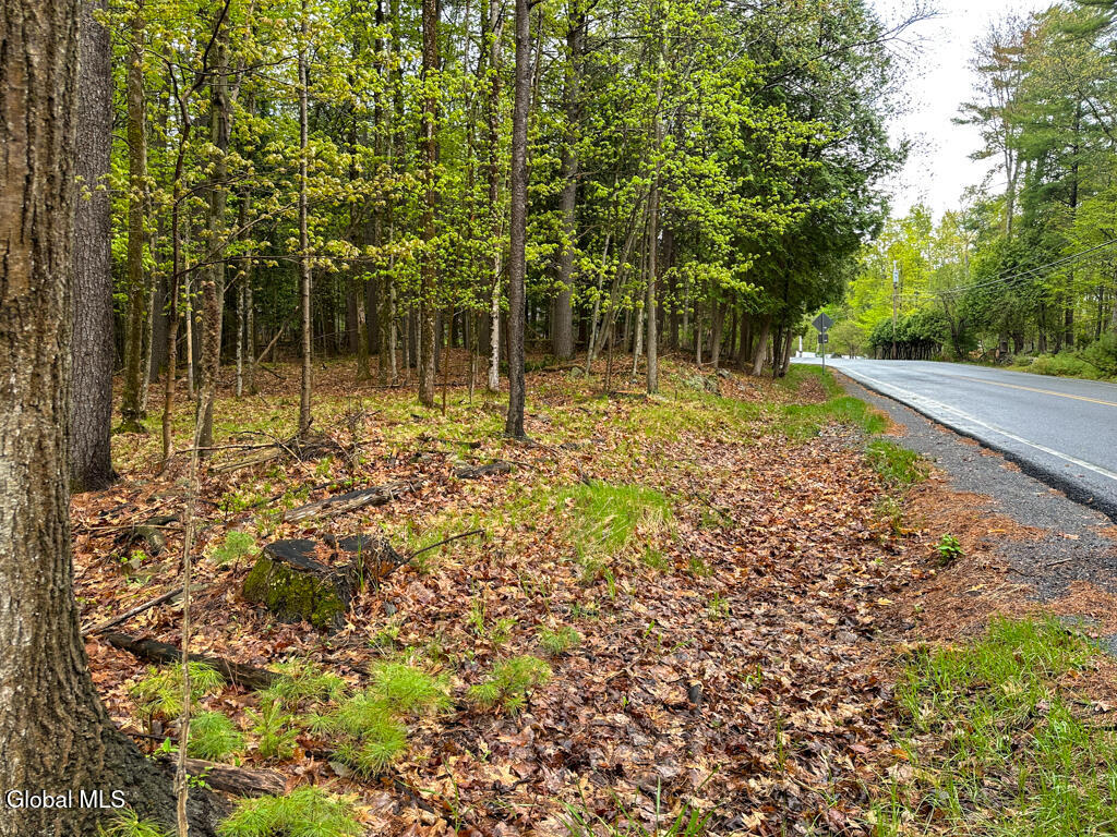 L59 Pilot Knob Road