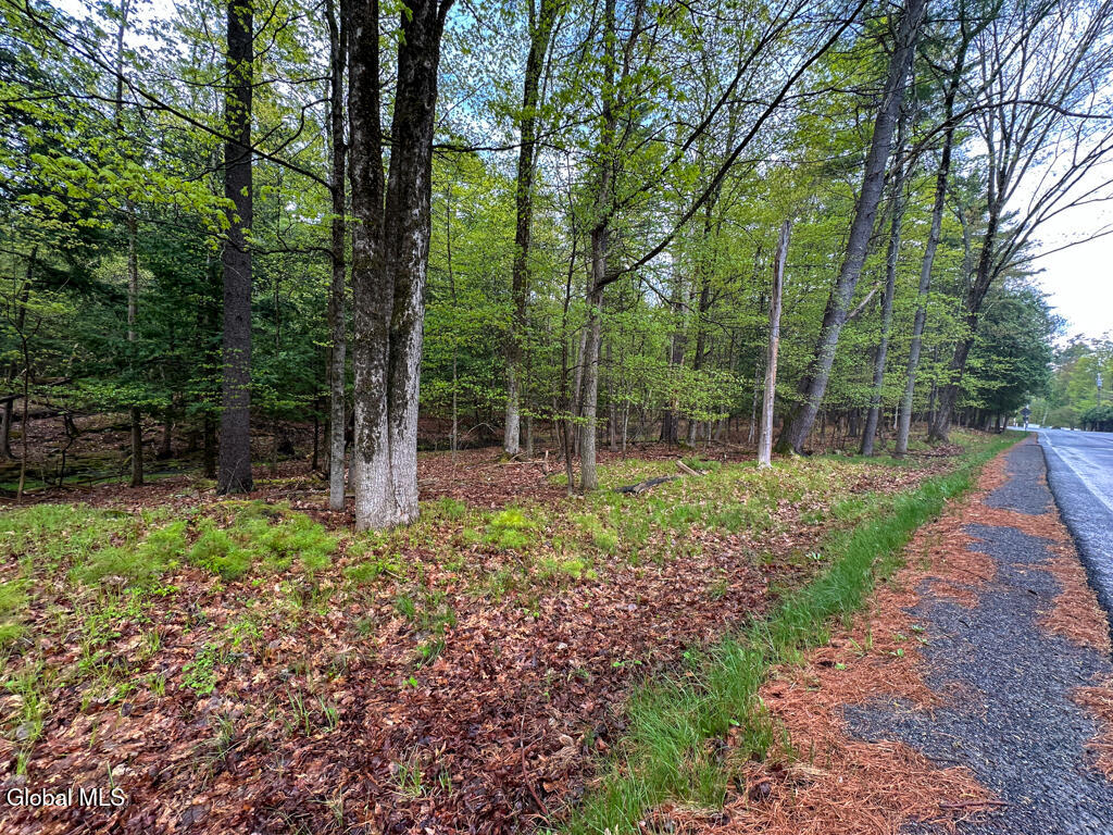 L59 Pilot Knob Road